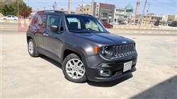 جيب رينيجيد